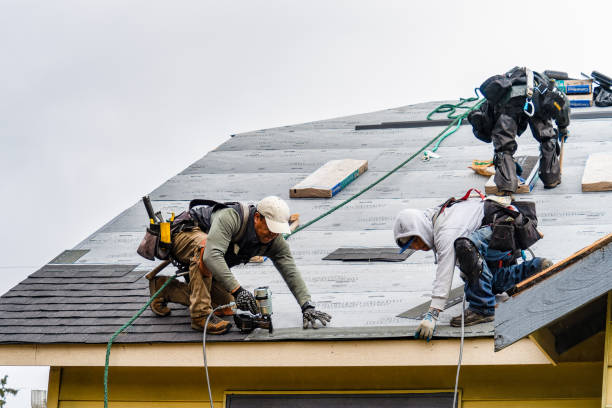 Professional Gutter Installation technician working in Whitt, TX